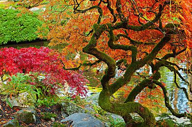 《Cow Chess》Steam上线 手绘风2D多人对战